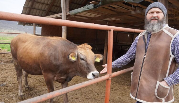 Satul din Sibiu unde brânzeturile dumnezeiești reînvie tradițiile după pandemie