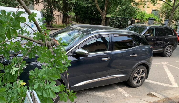 Vântul face ravagii în Sibiu și Mediaș cu copaci doborâți și mașini avariate