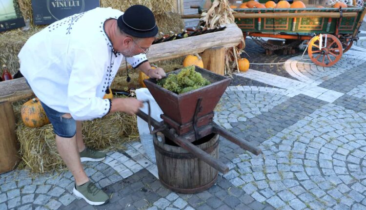 Mediașul celebrează tradiția viticolă prin evenimentul Povestea Vinului