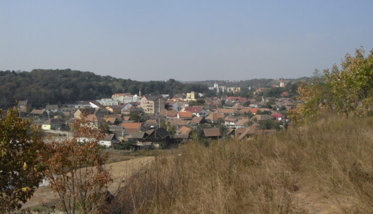 Bărbat cercetat penal pentru hărțuirea mamei în ciuda ordinului de protecție