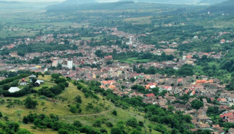 Șapte cazuri de violență domestică într-o singură zi în județul Sibiu