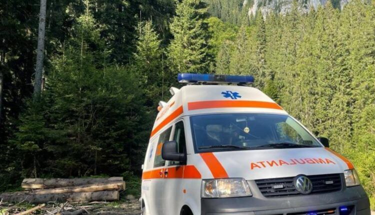 Sfârșit cumplit pentru un tânăr din Biertan, mort strivit de copacul pe care îl tăia