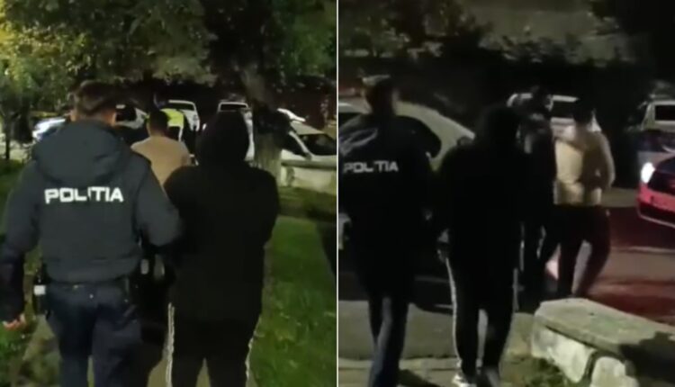 Trei sibieni prinși furând lemne în Alba, reținuți de poliție