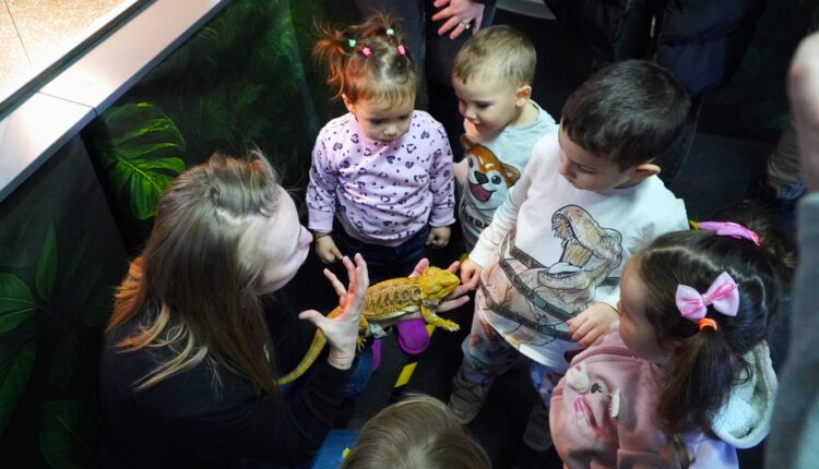Copiii își înving fricile la Exotic Expo Sibiu cu ajutorul șarpelui Cornel