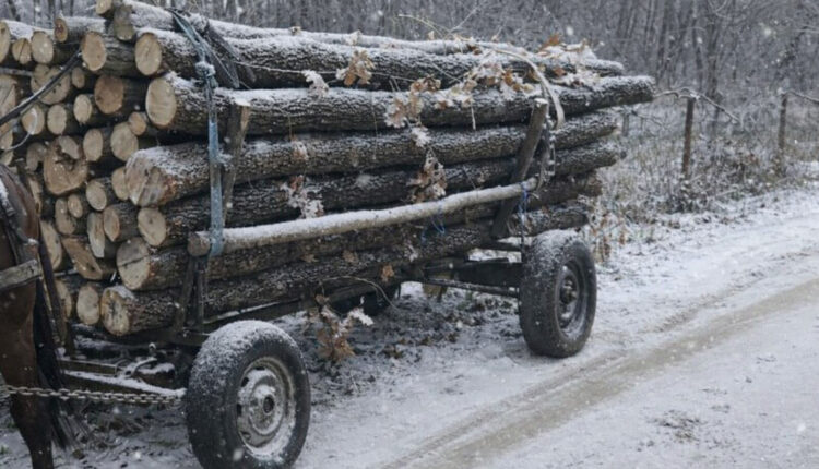 Transporturi ilegale de lemne depistate în județul Sibiu, poliția confiscă o căruță și o autoutilitară