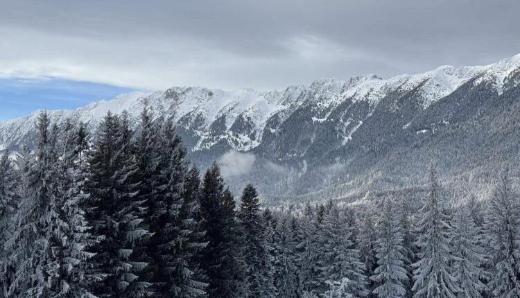 Cod galben de viscol și ninsori în aproape jumătate din România, cu zăpadă de până la 30 cm