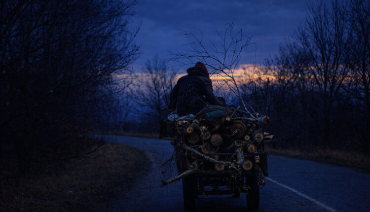 Bărbat din Jina prins în timp ce transporta lemne fără acte