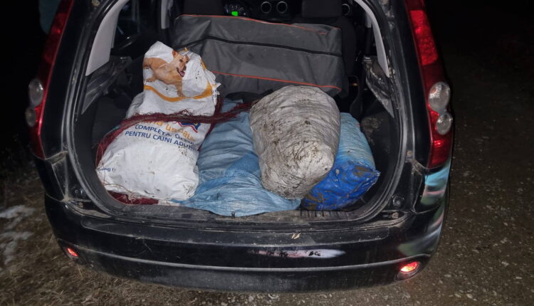 Braconierii din Avrig, eliberați după ce magistrații au dispus o măsură mai blândă