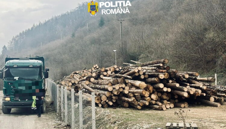 Controale în Gura Râului și Cristian, 180 de metri cubi de lemn confiscat