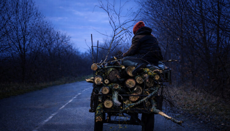 Doi tineri prinși furând lemne din pădurea de lângă Brateiu