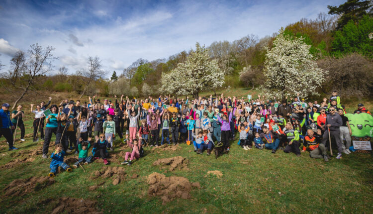 SCHWARZ Gruppe își continuă angajamentul față de mediu prin plantarea a 1300 de copaci la Cisnădie
