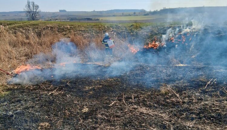 Val de incendii de vegetație în județul Sibiu afectează sute de hectare