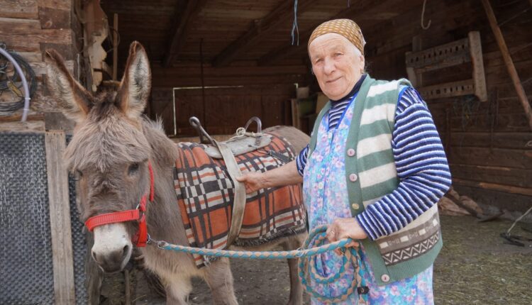 Bunica Maria din Țara Colibelor trăiește 8 luni pe an la colibă fără stres