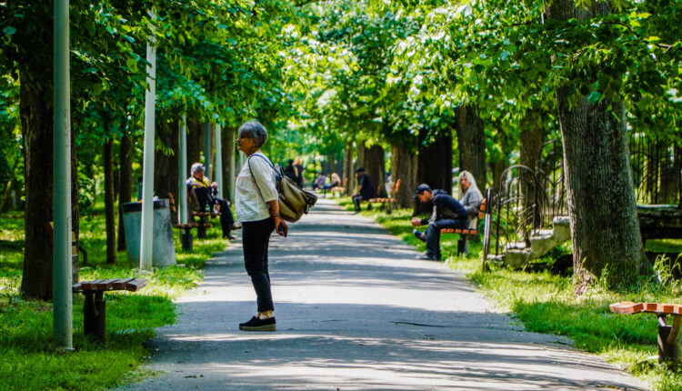 Colegiul medicilor veterinari din Sibiu atrage atenția asupra riscurilor căpușelor