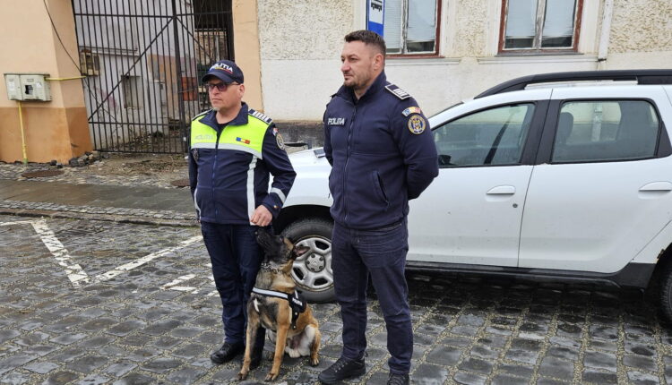 Poliția a desfășurat acțiuni de verificare în școlile din Dumbrăveni