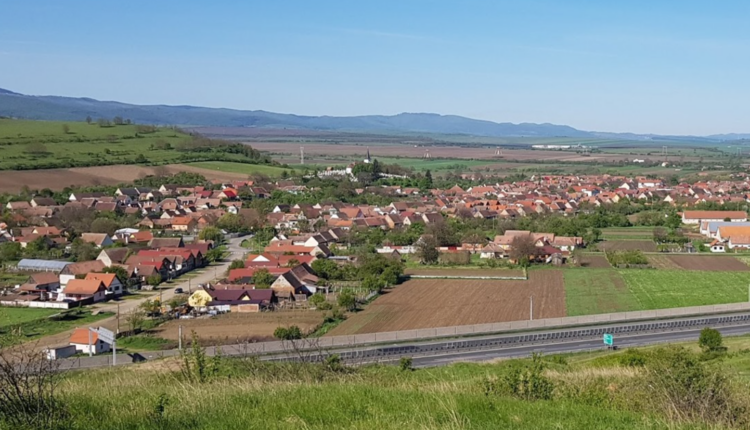 Șofer prins beat criță la Miercurea Sibiului, poliția l-a reținut