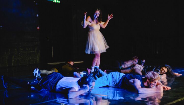 Spectacol antidrog pentru elevii din Sibiu și Mediaș, manifest adresat liceenilor