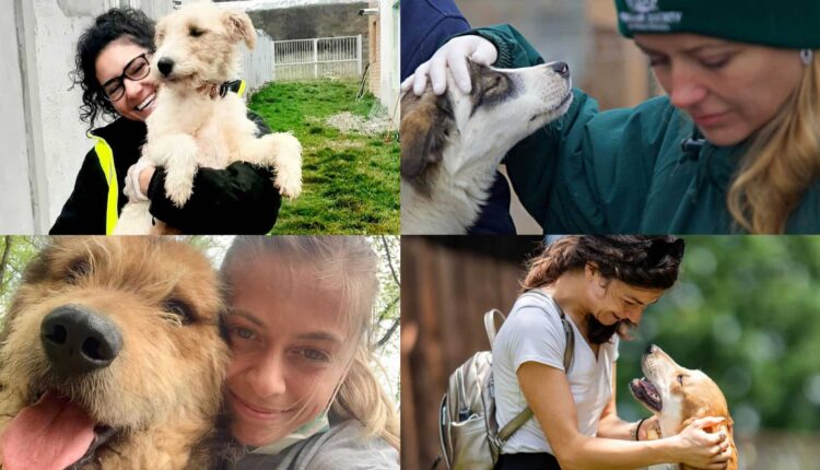 Aproape 500 de animale salvate și peste 1.600 sterilizate în 2025 de Animal Life Sibiu