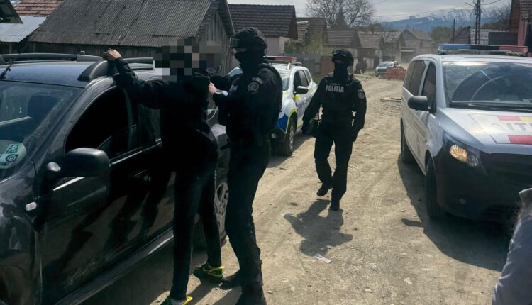 Tinerii acuzați că au furat lemne din pădurea din Arpașu au fost reținuți