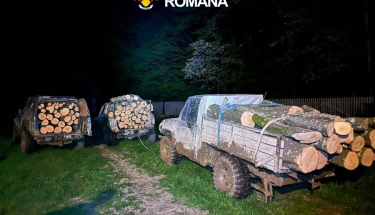 Trei tineri din Arpașu, suspectați de sustragere ilegală de material lemnos